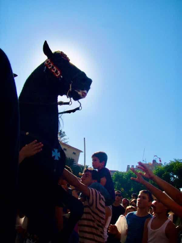 623メノルカ島 サン•フアン 馬祭り Menorca 馬　親子