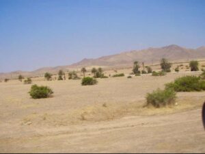 626モロッコ マラケシュ バス景色乾燥地帯