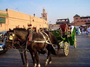626マラケシュバザール 道 馬車 12