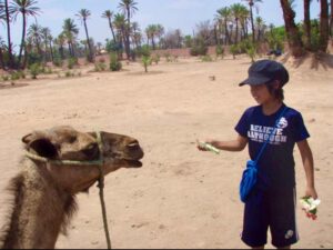 626モロッコ ラクダパーク2