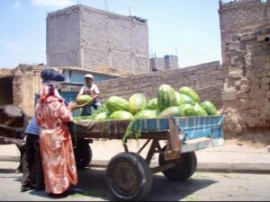 626モロッコ マラケシュ 下町スイカ