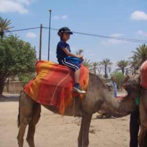 626モロッコ ラクダパーク 2