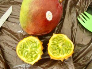 626モロッコ 食用サボテンカット 甘いキウイのよう