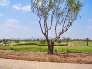 626モロッコ ラクダパーク景色