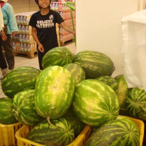 626 モロッコ カサブランカ スーパースイカ2