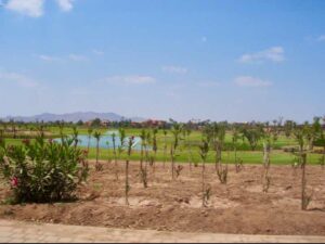 627マラケシュcamel ラクダパーク帰り景色