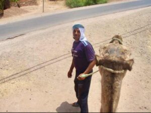 627マラケシュcamel ラクダパーク stuff