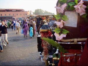 627モロッコ ジャーマルフナ 馬車横