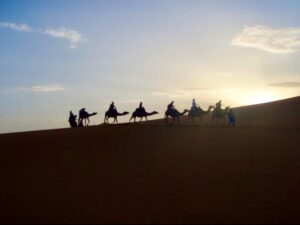 629 サハラ砂漠ラクダトレッキング　右夕焼けバックシルエット