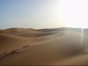 629サハラ砂漠ラクダトレッキング　夕焼け白い強い光