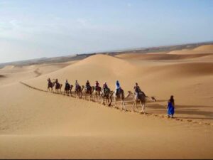 629サハラ砂漠ラクダトレッキング　隊列後発1c