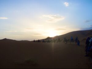 629 サハラ砂漠ラクダトレッキング　夕焼けバック
