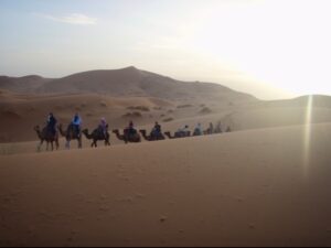 629 サハラ砂漠ラクダトレッキング　右夕焼けバック