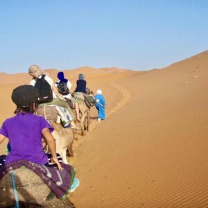 629サハラ砂漠ラクダトレッキング　左後ろから　2