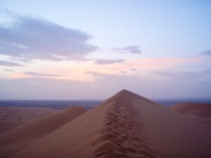 629 サハラ砂漠　砂山てっぺん