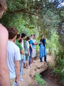 629モロッコ　砂漠行き途中　探索バッタ草飾り