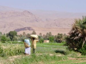 629モロッコ　砂漠行き途中　田園おばさん二人
