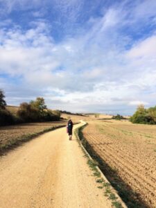 60/60カミーノR1 バスク ブルゴス付近道